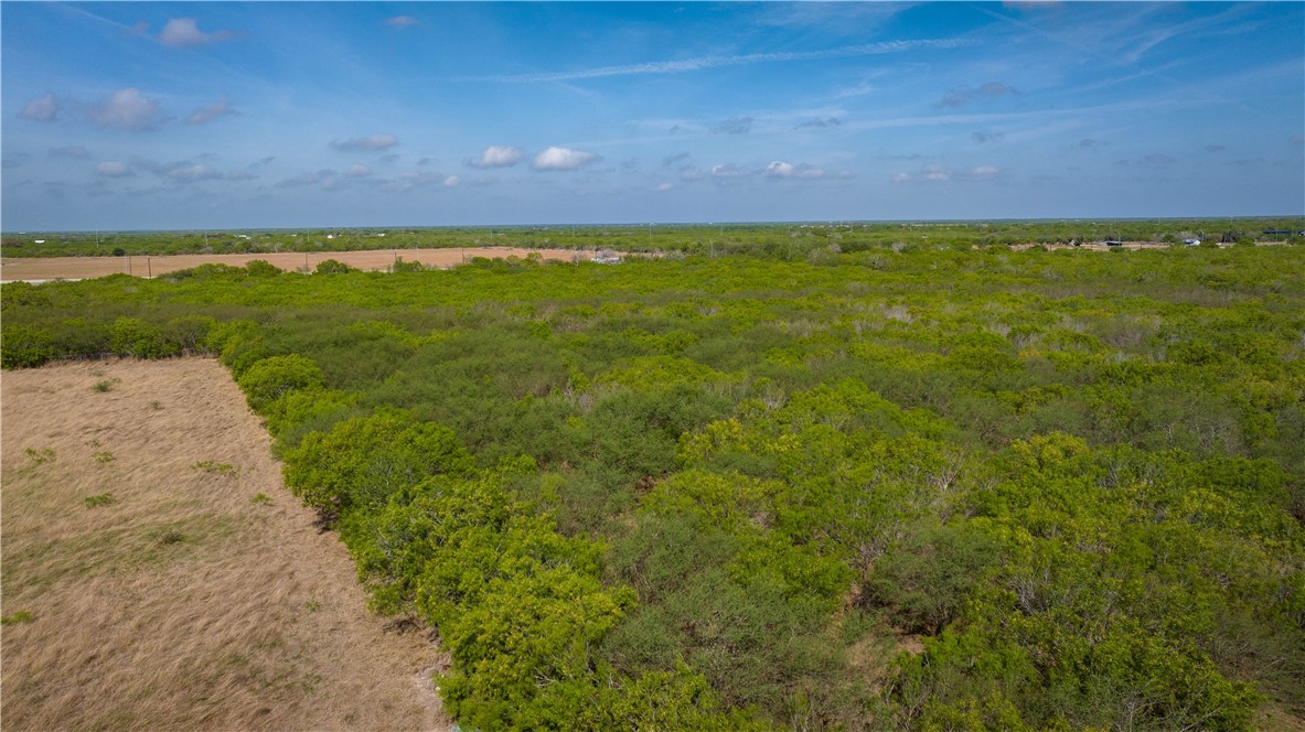 Tbd S Hwy 281 Hwy Property Photo 4