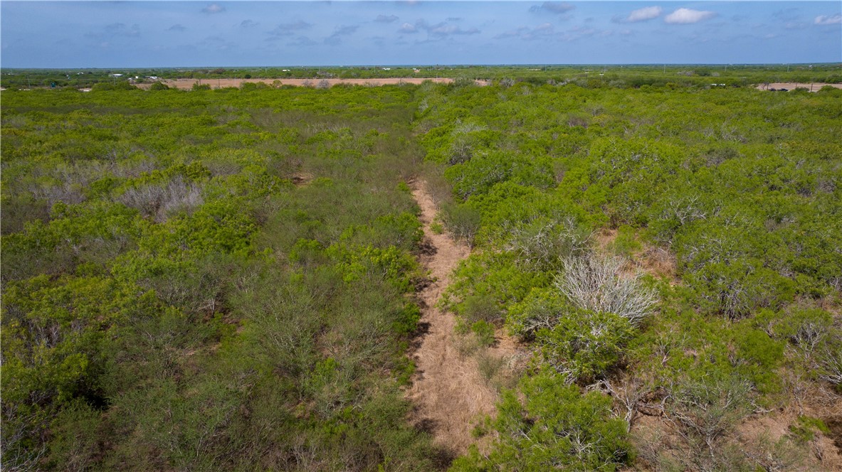 Tbd S Hwy 281 Hwy Property Photo 5