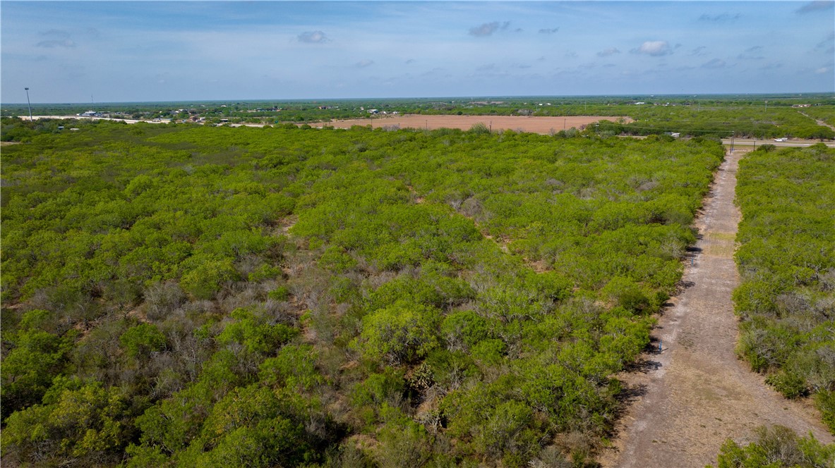 Tbd S Hwy 281 Hwy Property Photo 9