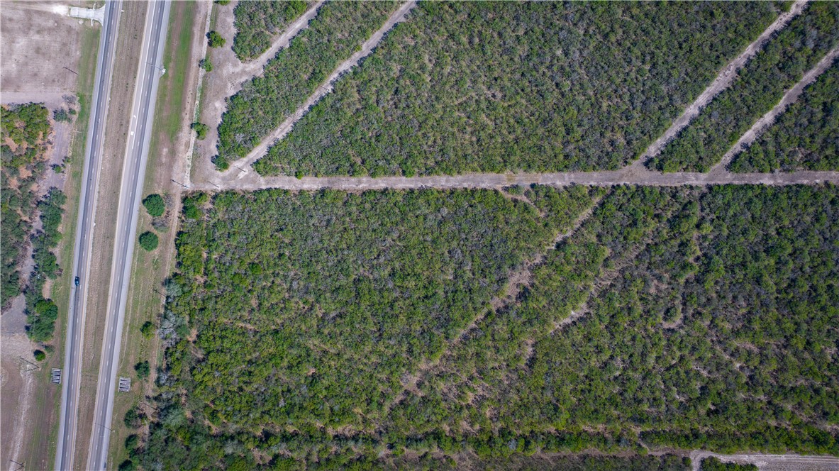 Tbd S Hwy 281 Hwy Property Photo 15