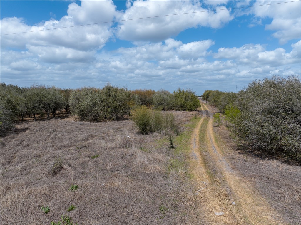 15820 County Road 502 Property Photo 4