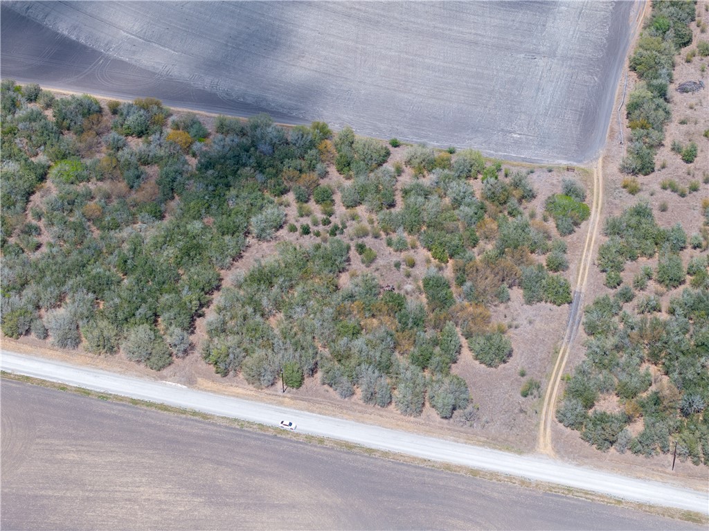 15820 County Road 502 Property Photo 9
