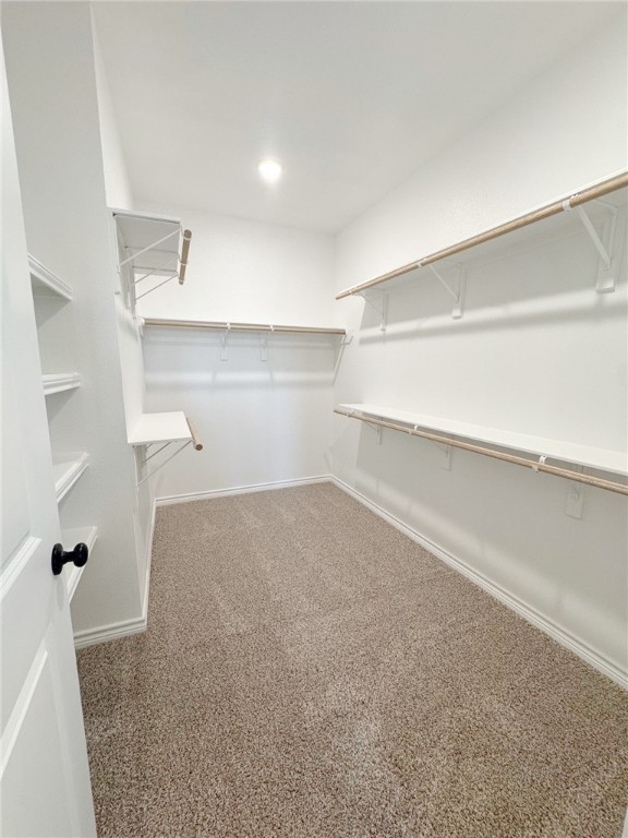 9502 Spanish Oak Dr Property Photo 20