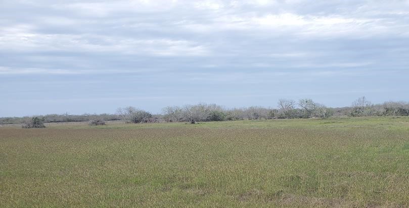 Rivera Isd Real Estate Listings Main Image