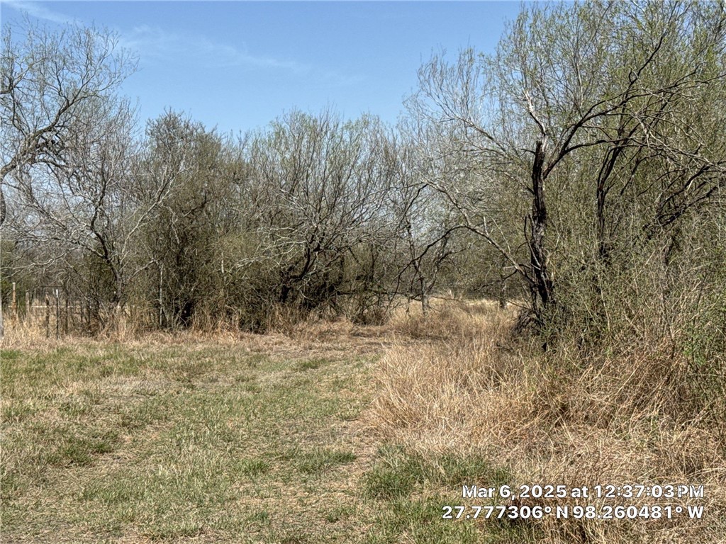 0000 Tr #16 La Nina Ranch Subd Property Photo 33