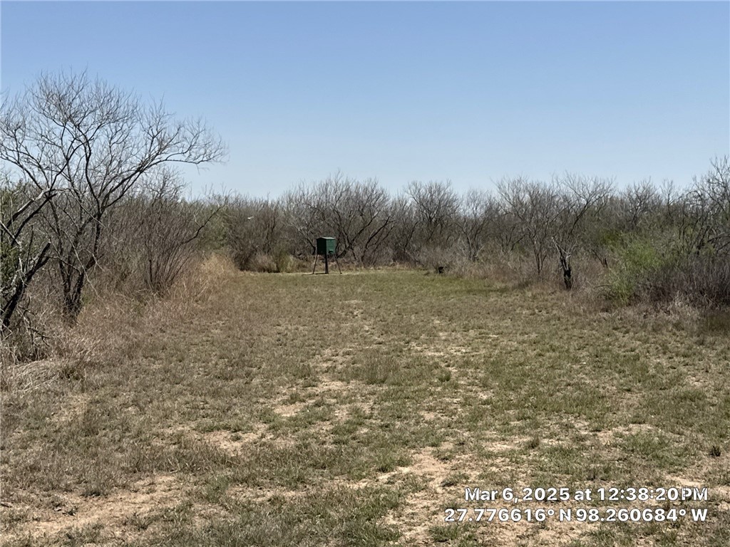0000 Tr #16 La Nina Ranch Subd Property Photo 39
