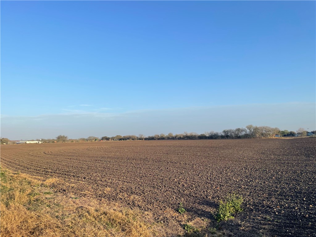 Lot 2 County Road 732 Property Photo 1