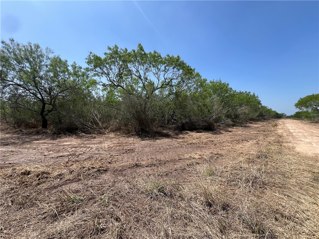 231 County Road Property Photo 2