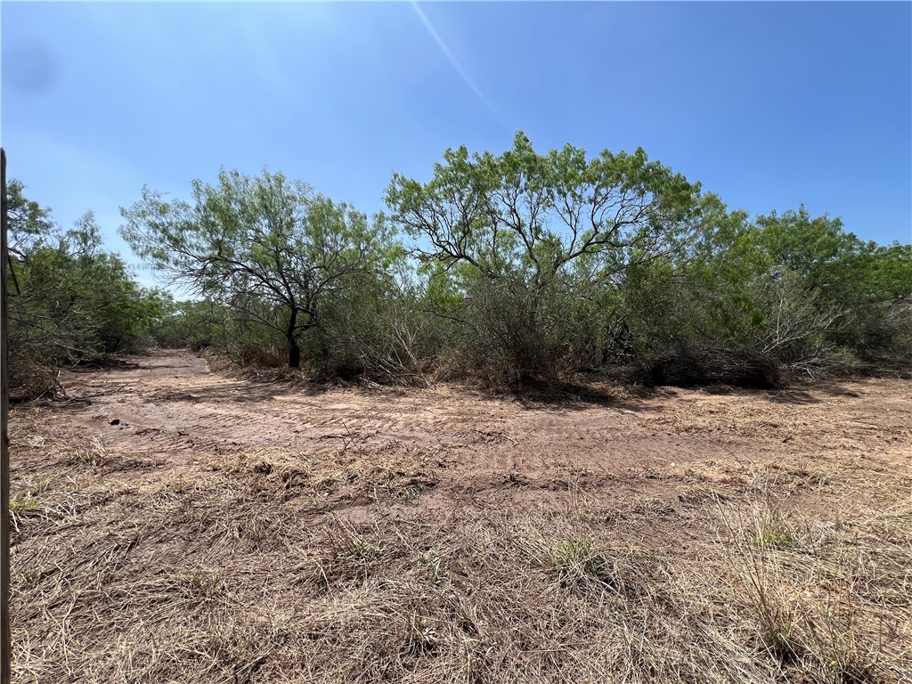 231 County Road Property Photo 4