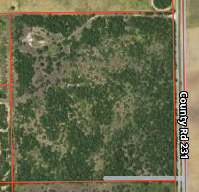231 County Road Property Photo 6