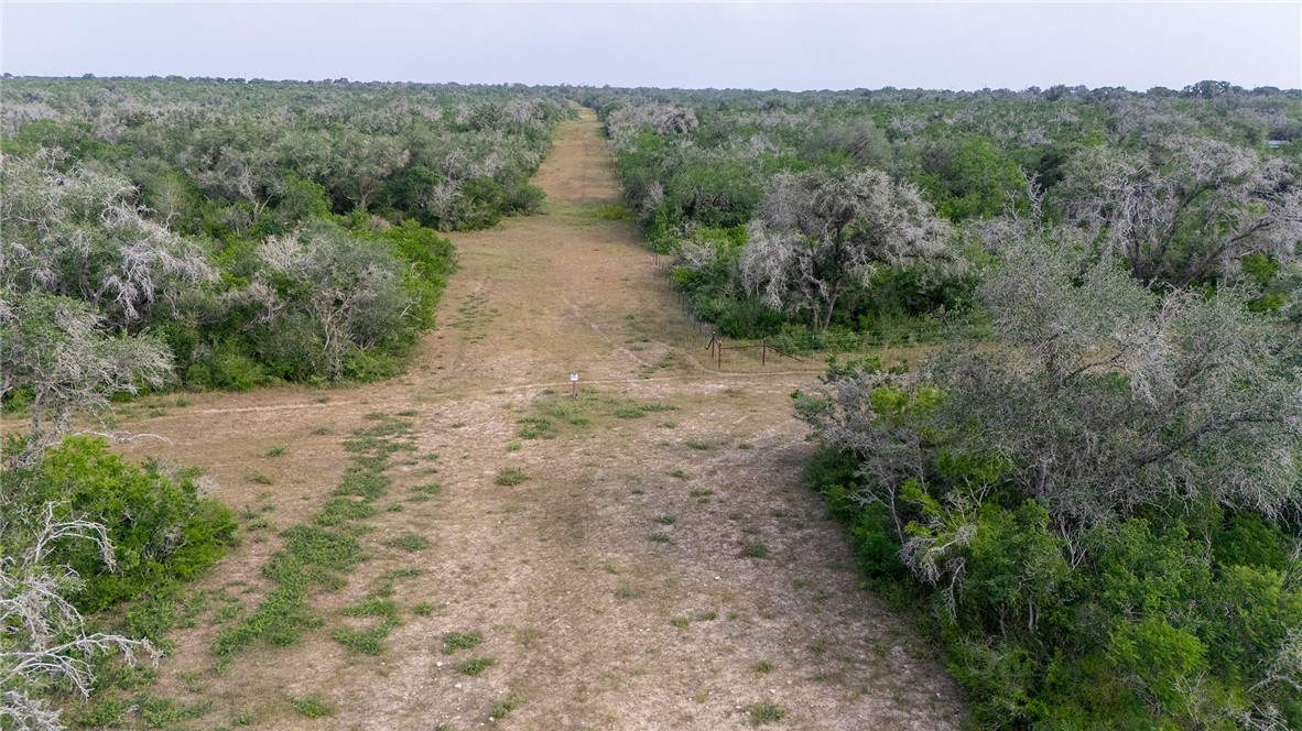 9286 Fm-2617 Property Photo 23