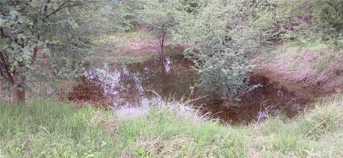 200 Cliff Road Property Photo 12