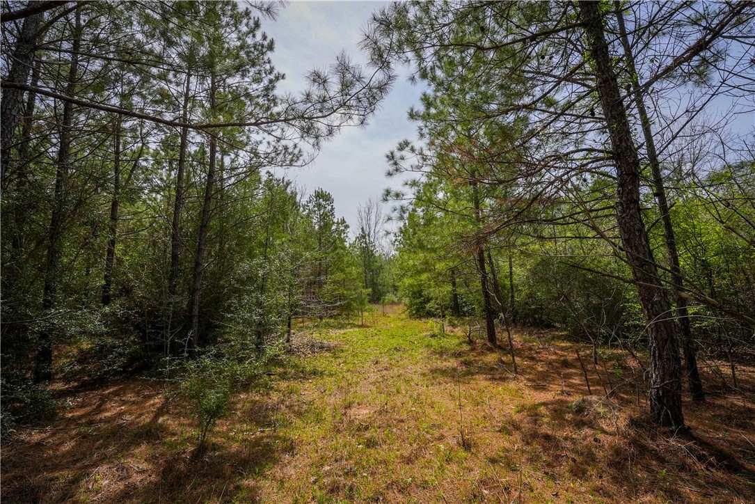Tbd Hwy 87 N Hwy Property Photo 10