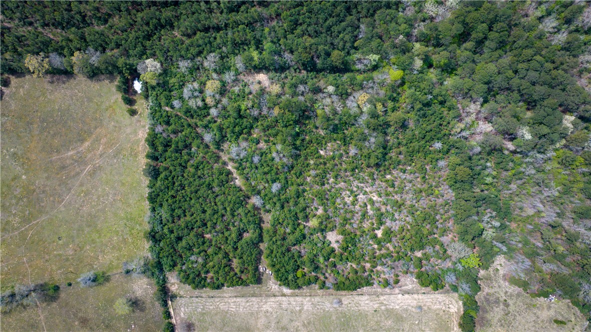 Tbd Hwy 87 N Hwy Property Photo 22