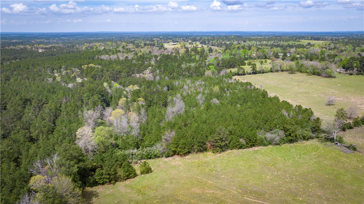 Tbd Hwy 87 N Hwy Property Photo 32