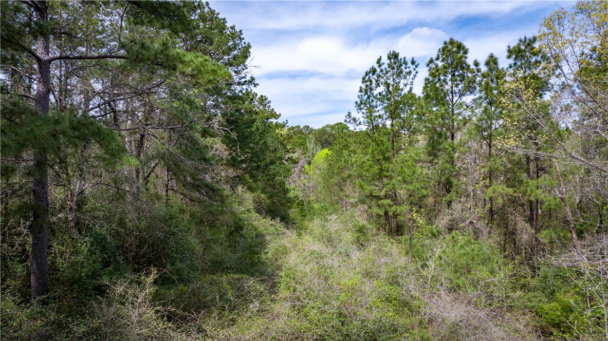 Tbd Hwy 87 N Hwy Property Photo 33