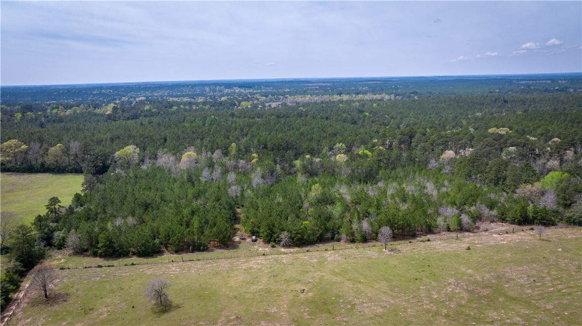 Tbd Hwy 87 N Hwy Property Photo 35