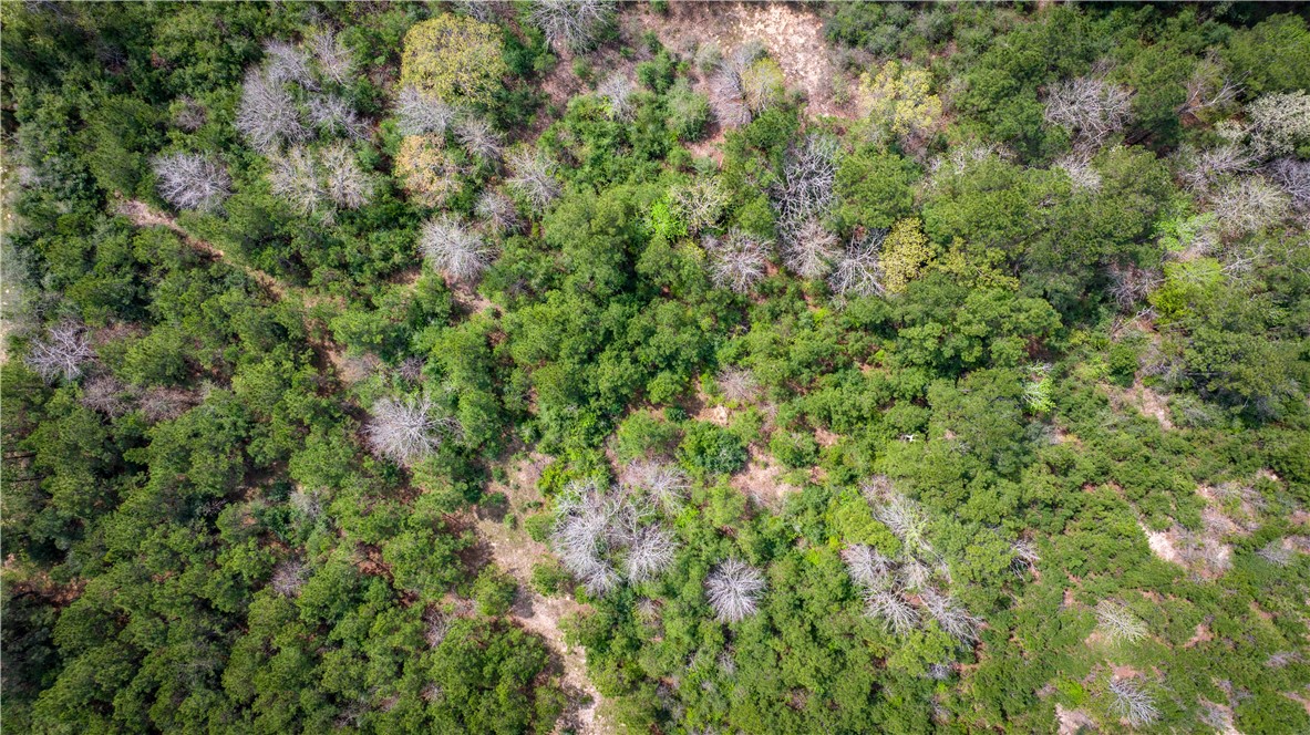 Tbd Hwy 87 N Hwy Property Photo 36