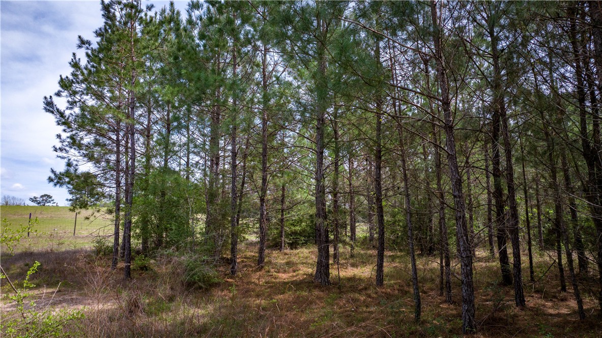 Tbd Hwy 87 N Hwy Property Photo 39