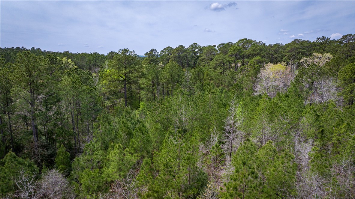 Tbd Hwy 87 N Hwy Property Photo 40