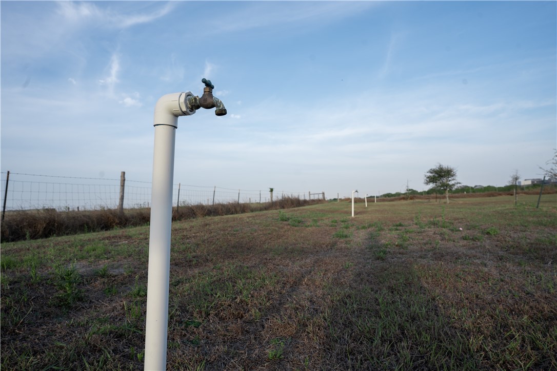 3924 Fm 24 B Property Photo 22