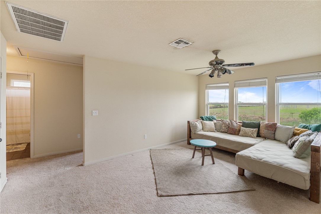 7933 Pavo Real St Property Photo 23