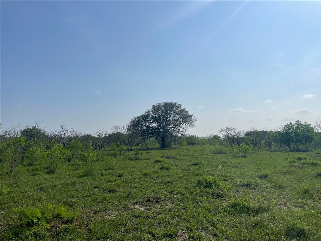 9622 Baker Road Property Photo 18