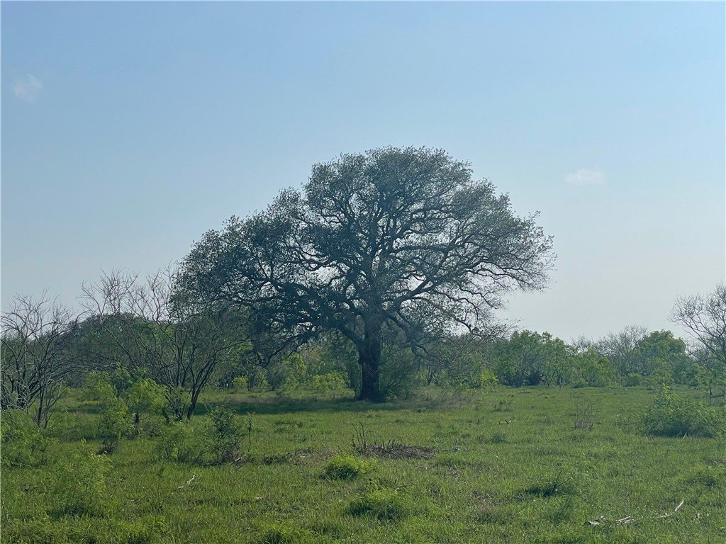 9622 Baker Road Property Photo 19