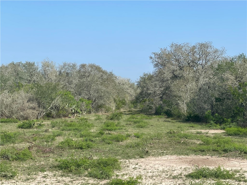9622 Baker Road Property Photo 24
