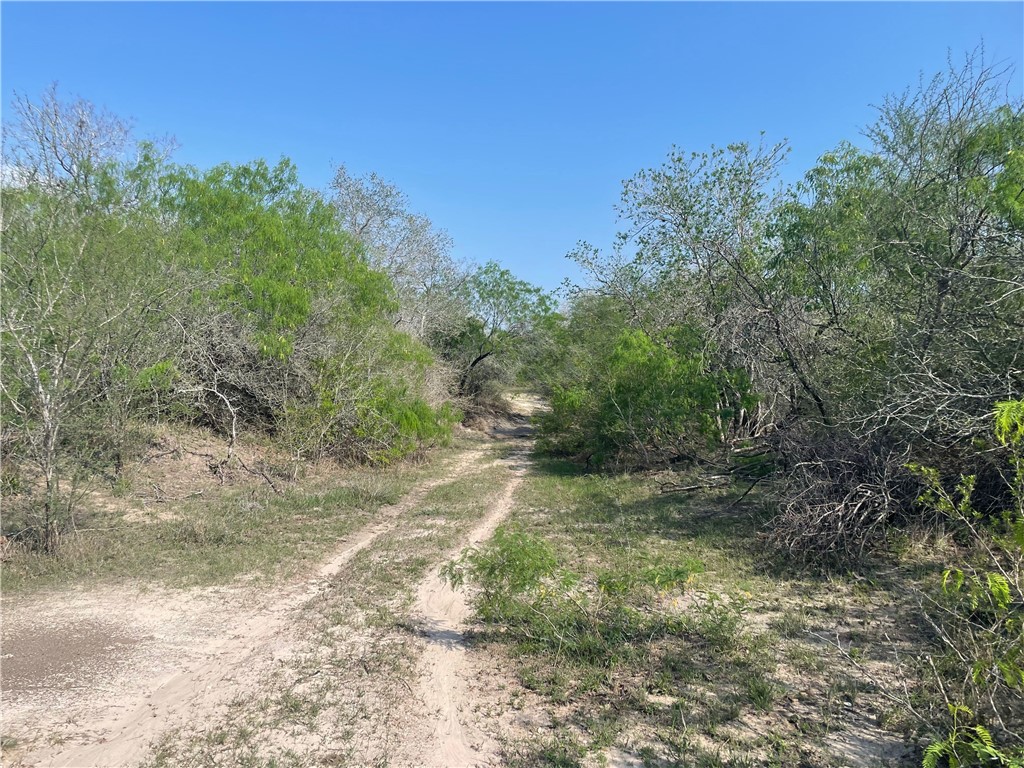 9622 Baker Road Property Photo 26