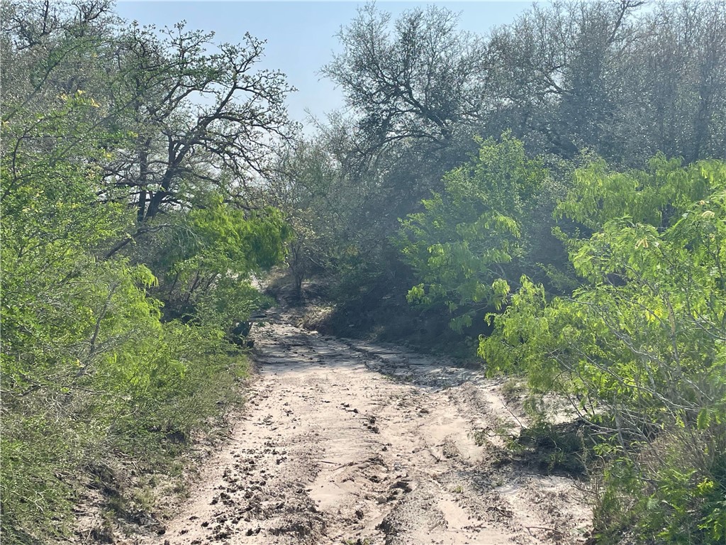 9622 Baker Road Property Photo 27