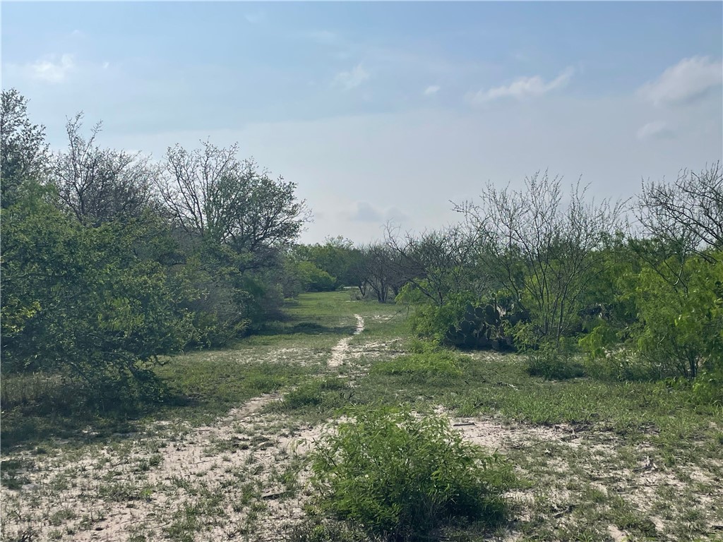 9622 Baker Road Property Photo 31