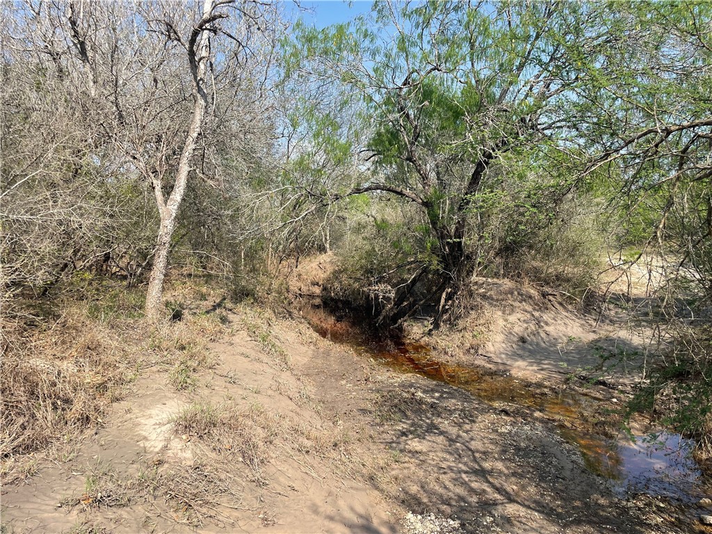 9622 Baker Road Property Photo 32