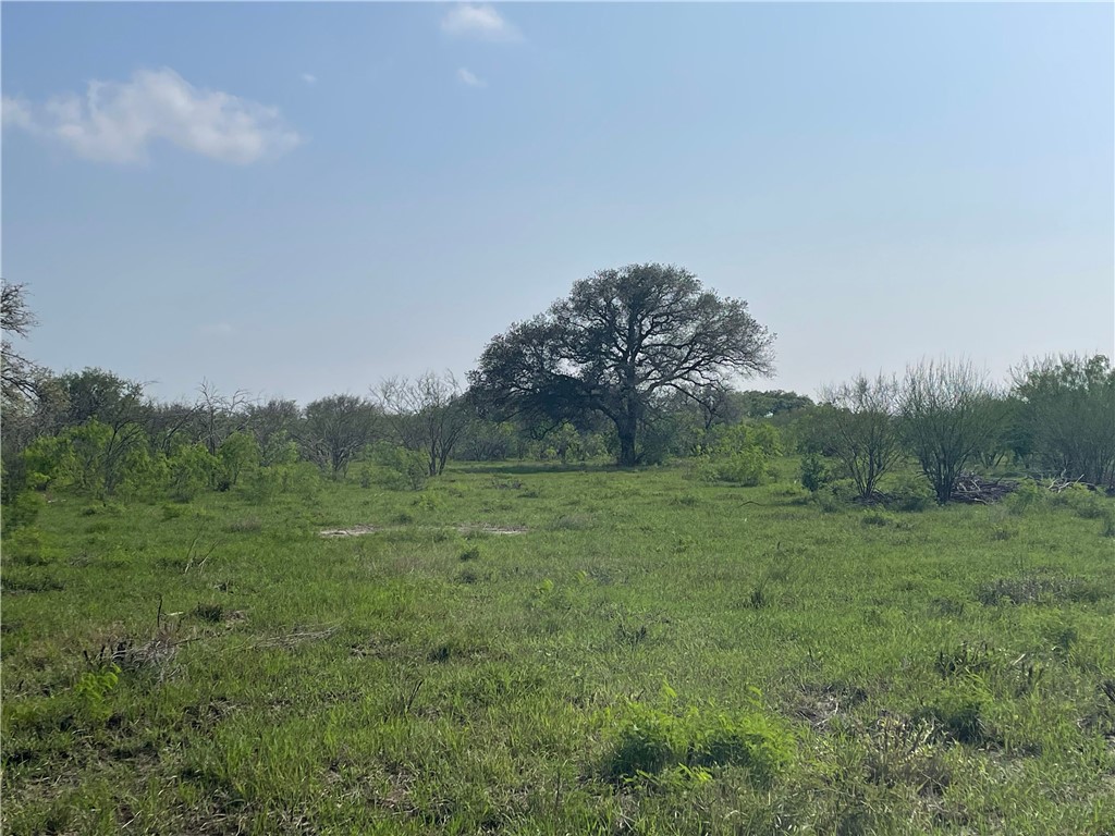 9622 Baker Road Property Photo 35