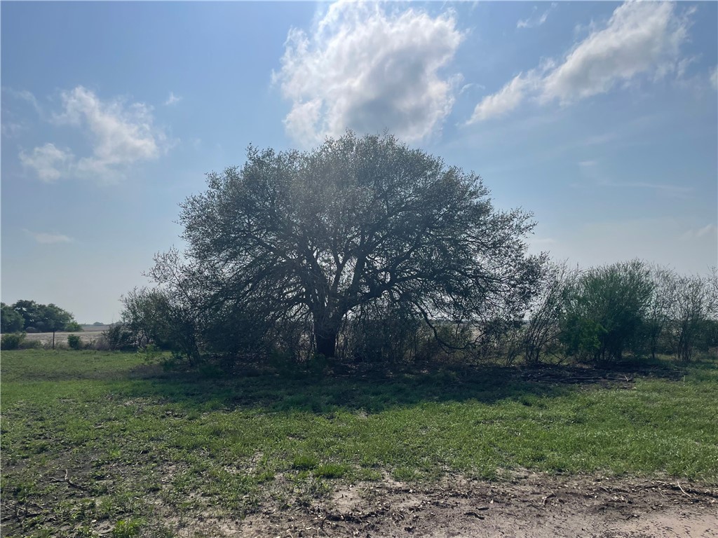 9622 Baker Road Property Photo 36