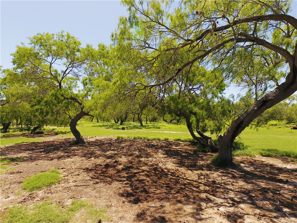 0 S County Road 1010 Property Photo 3
