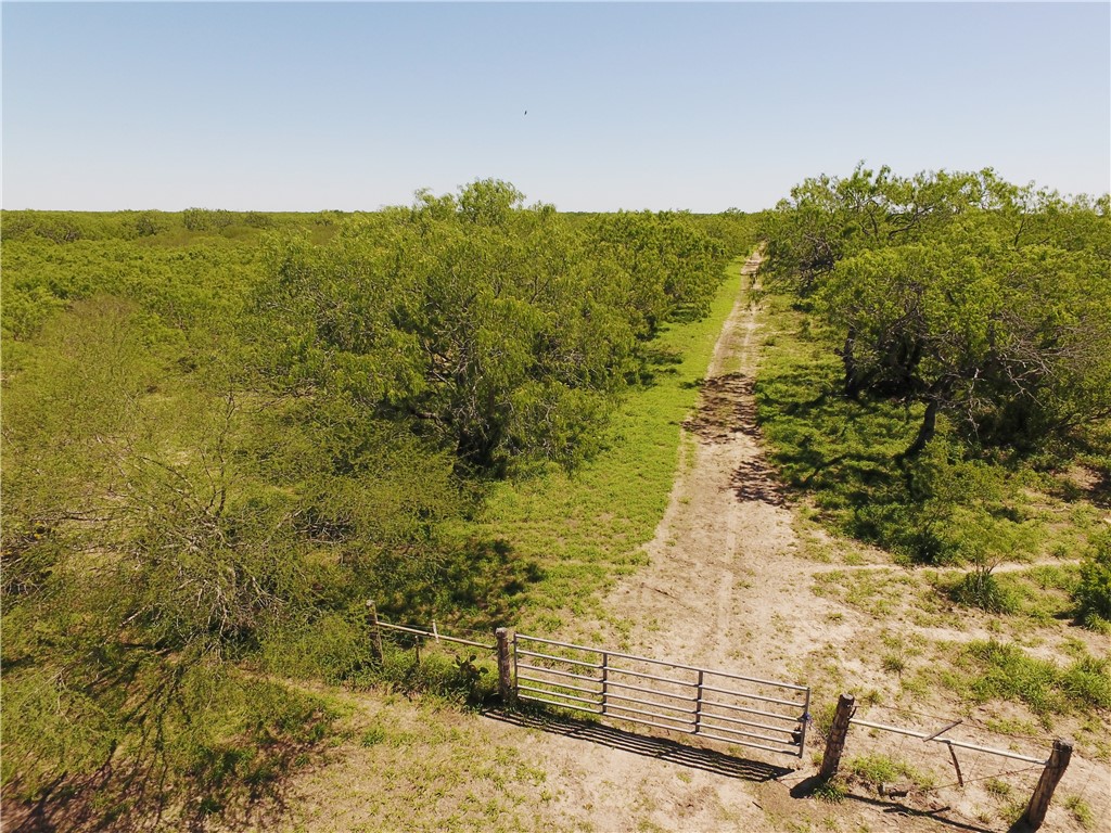 0 S County Road 1010 Property Photo 4