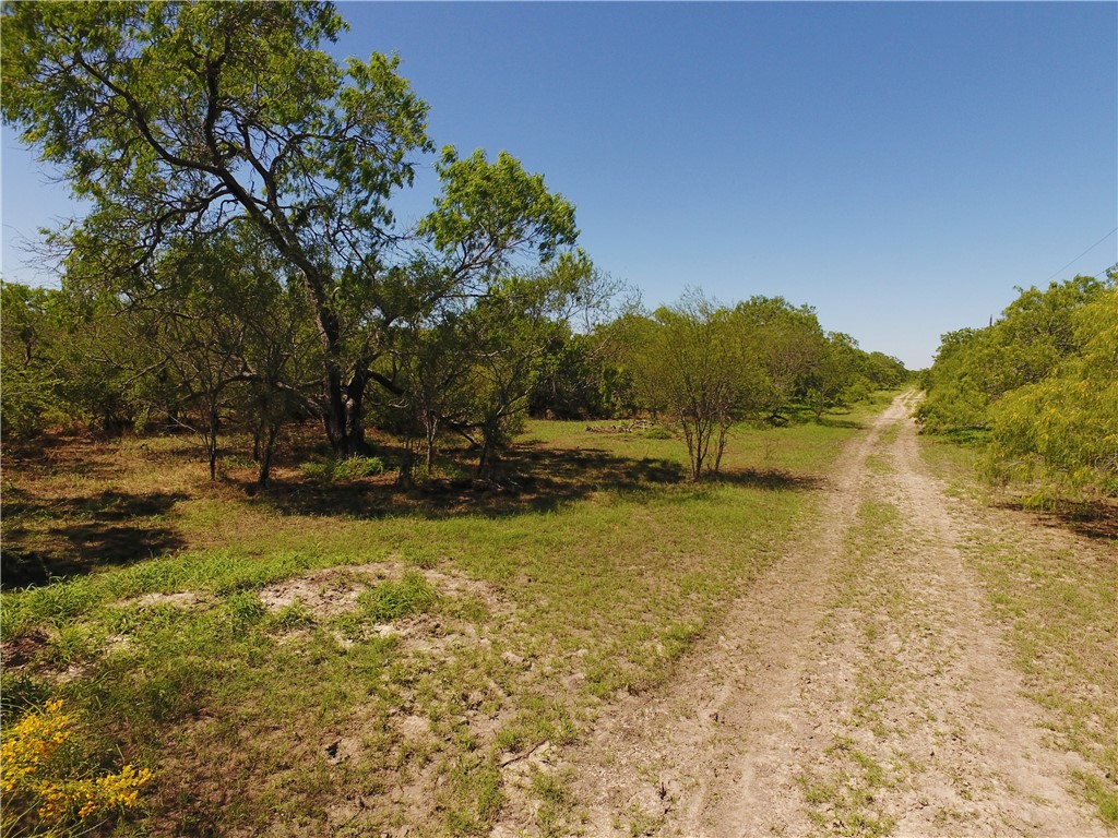 0 S County Road 1010 Property Photo 6