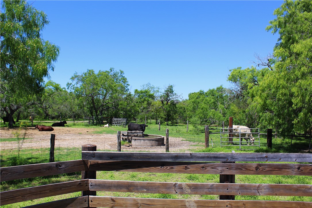 0 S County Road 1010 Property Photo 8