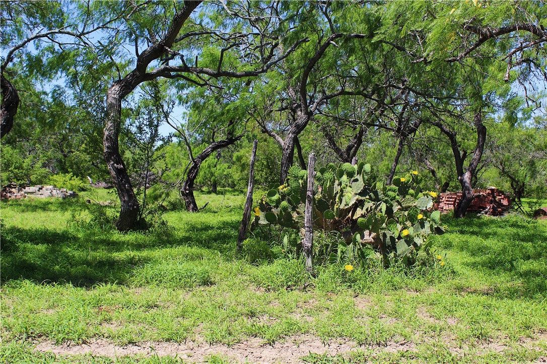 0 S County Road 1010 Property Photo 10