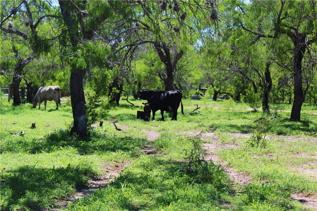 0 S County Road 1010 Property Photo 11