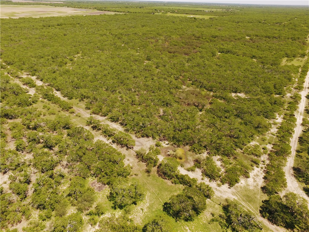 0 S County Road 1010 Property Photo 17