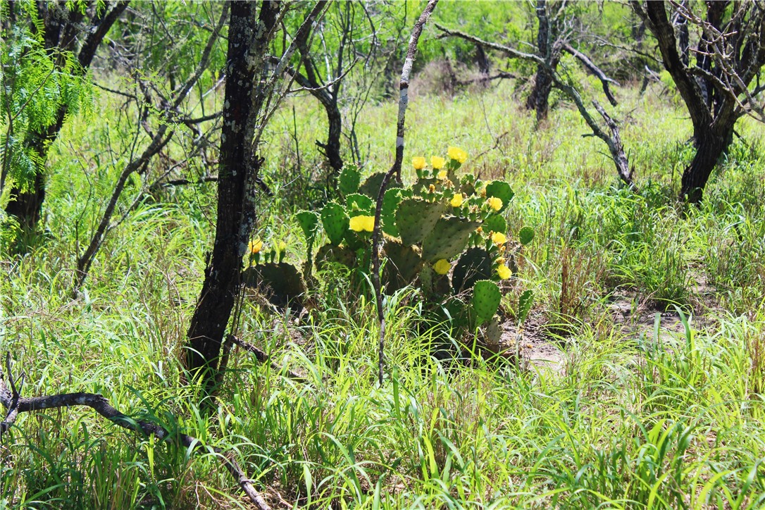 00 N County Road 1026 Property Photo