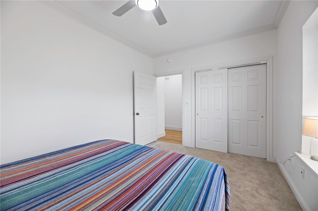 33 Primrose Circ Property Photo 21