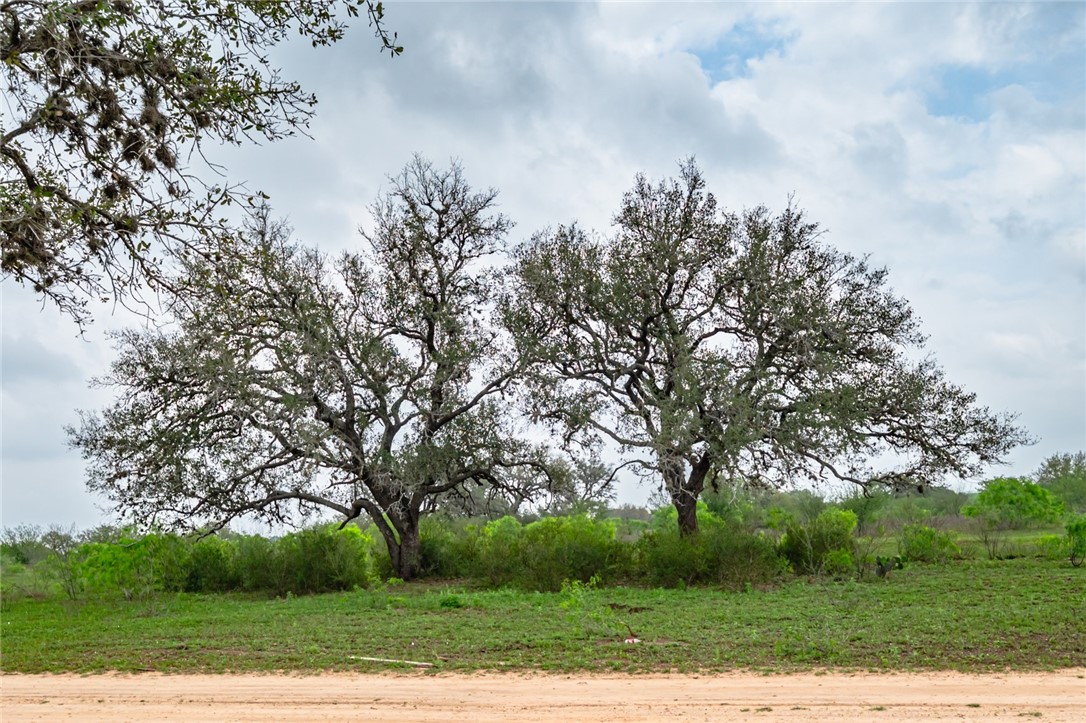 3019 Fm 673 Property Photo 22