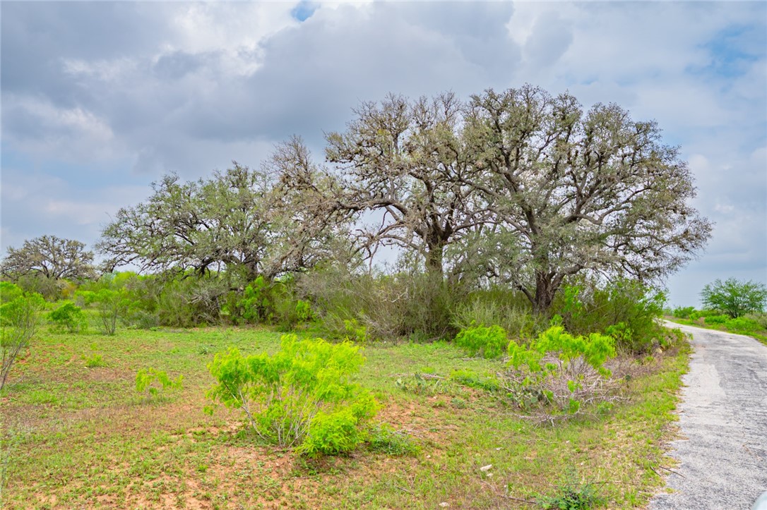 3019 Fm 673 Property Photo 23