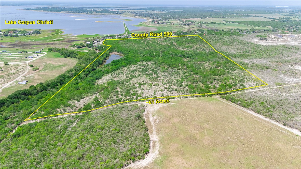 00 County Road 441 Property Photo