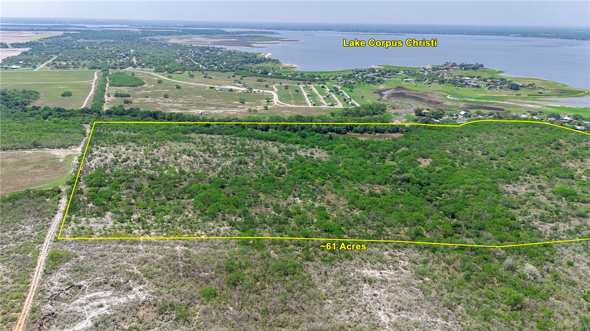 00 County Road 441 Property Photo 3