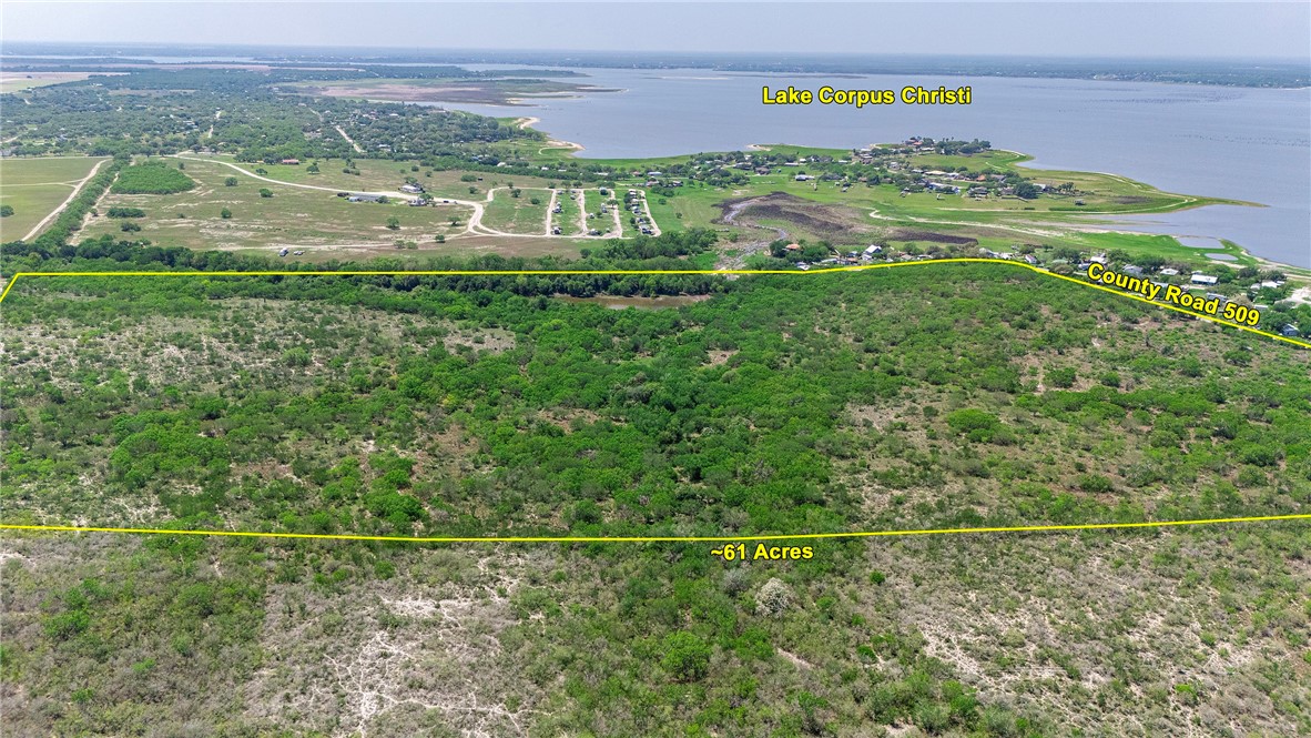 00 County Road 441 Property Photo 4