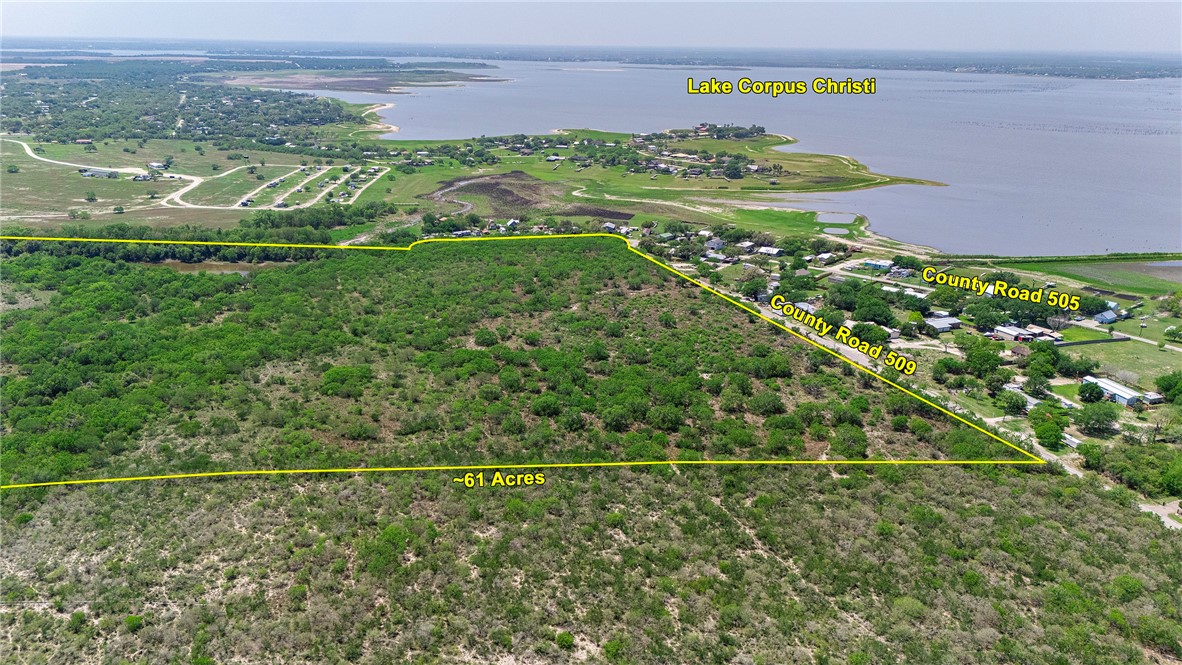00 County Road 441 Property Photo 5